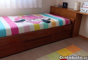 imagem_1