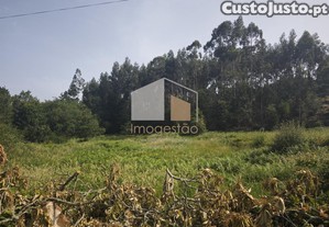 imagem_8