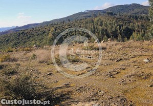 Propriedade rural em codeçoso