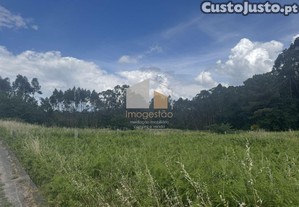 imagem_14