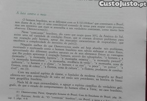 imagem_11