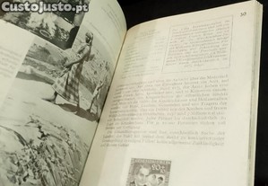 imagem_3