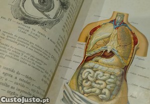 imagem_13