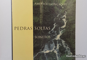 POESIA Américo Gonçalves // Pedras Soltas 