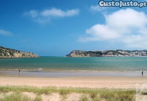 imagem_29