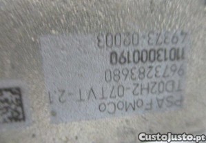 imagem_4