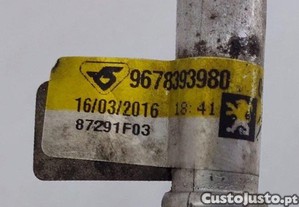 imagem_4