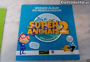imagem_4
