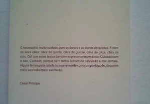 imagem_4