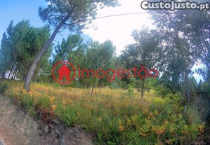 imagem_6