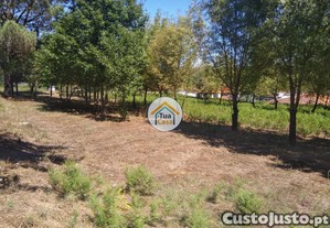 imagem_15