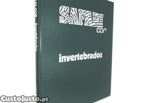 imagem_1