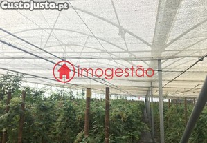 imagem_16