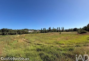 Terreno Agrícola em Santo Isidoro