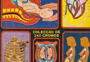 Anatomia - Caderneta