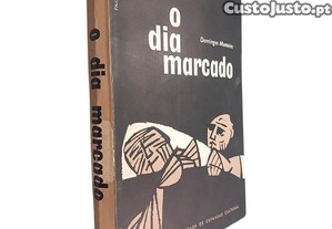imagem_1