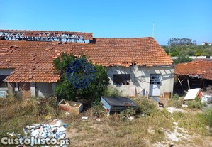 imagem_20