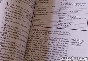 imagem_7