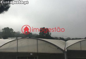 imagem_9