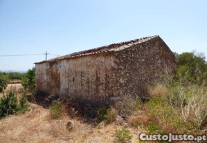 imagem_7
