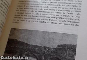 imagem_11