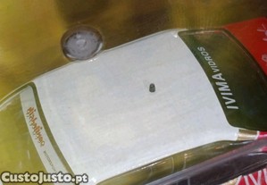 imagem_7