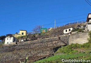 imagem_14
