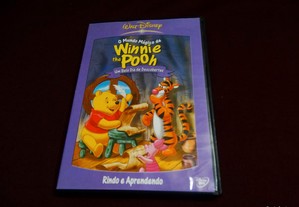 DVD-Winnie The Pooh-um belo dia de descobertas
