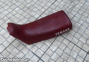 imagem_10