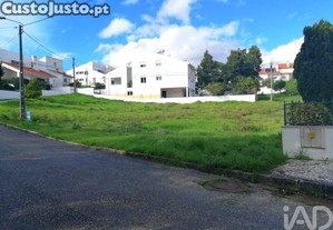 imagem_12