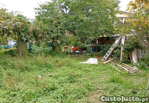 imagem_9