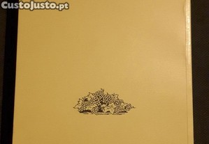 imagem_8