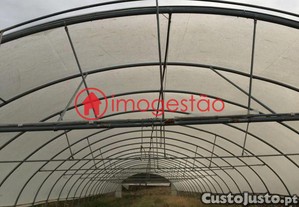 imagem_7