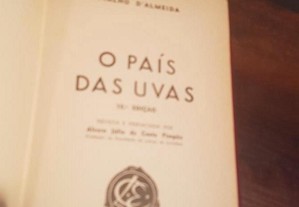 imagem_3