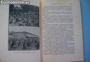 imagem_4
