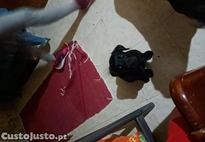 imagem_1
