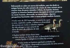 imagem_8