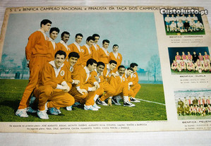 Benfica Campeão Nacional Finalista Taça C. E. 1963