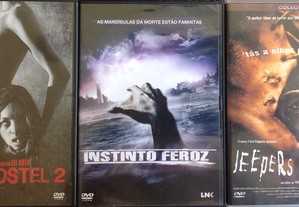 imagem_6