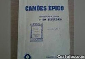 imagem_1