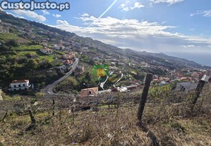 imagem_12