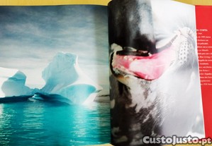 imagem_22