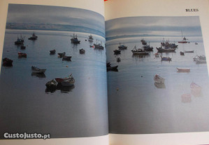 imagem_4