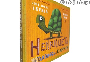 imagem_1