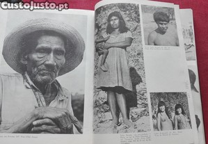 imagem_12