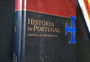 História de Portugal - Portugal na pré-história - João Medina