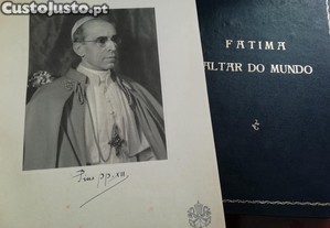 imagem_8