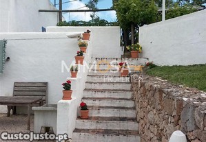 imagem_28