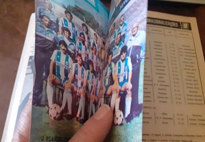 imagem_7