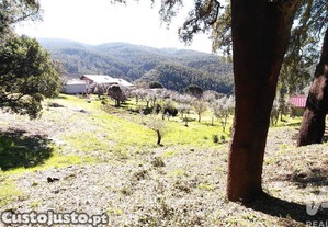 imagem_23